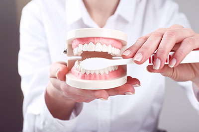 Alan S. Kuznick, DMD | Dentures, CEREC and Veneers