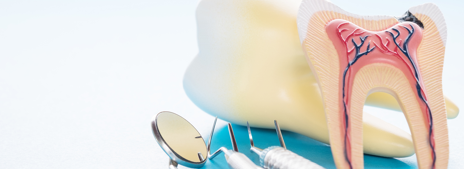 Alan S. Kuznick, DMD | Implant Dentistry, Dental Fillings and Pediatric Dentistry