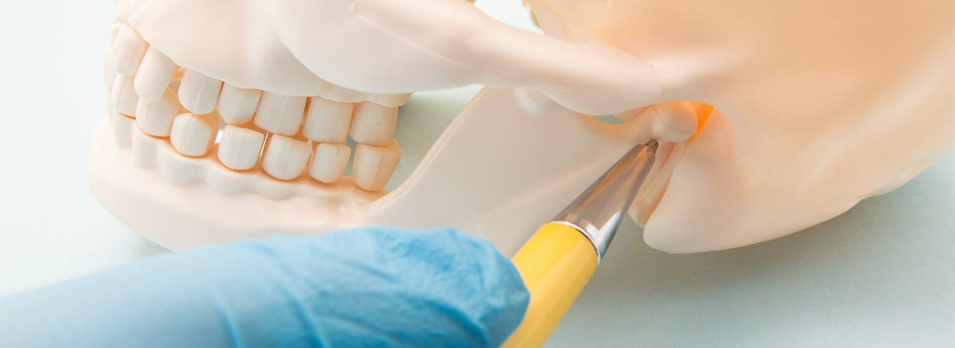 Alan S. Kuznick, DMD | Root Canals, Veneers and Sleep Apnea